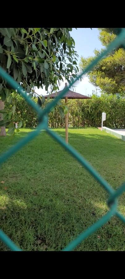 Apartamento Bajo Con Terraza Y Piscina Torrevieja Eksteriør bilde