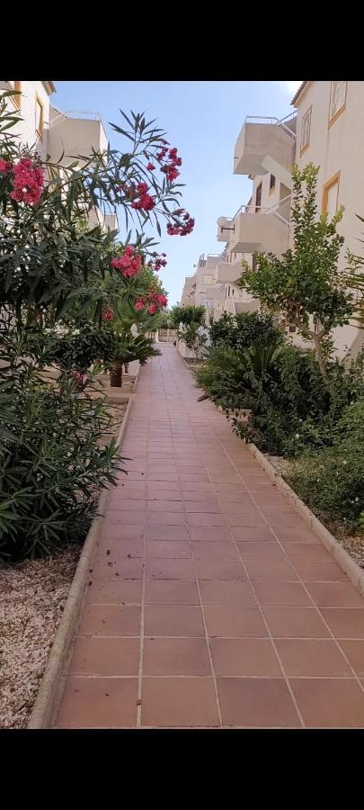 Apartamento Bajo Con Terraza Y Piscina Torrevieja Eksteriør bilde